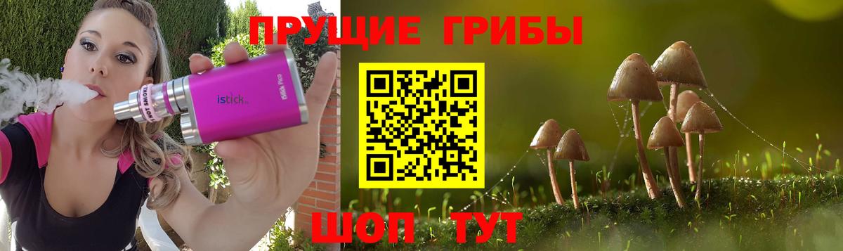 Галлюциногенные грибы Psilocybe  Псилоцибиновые грибы Psilocybe  Клин  Вход с VPN 